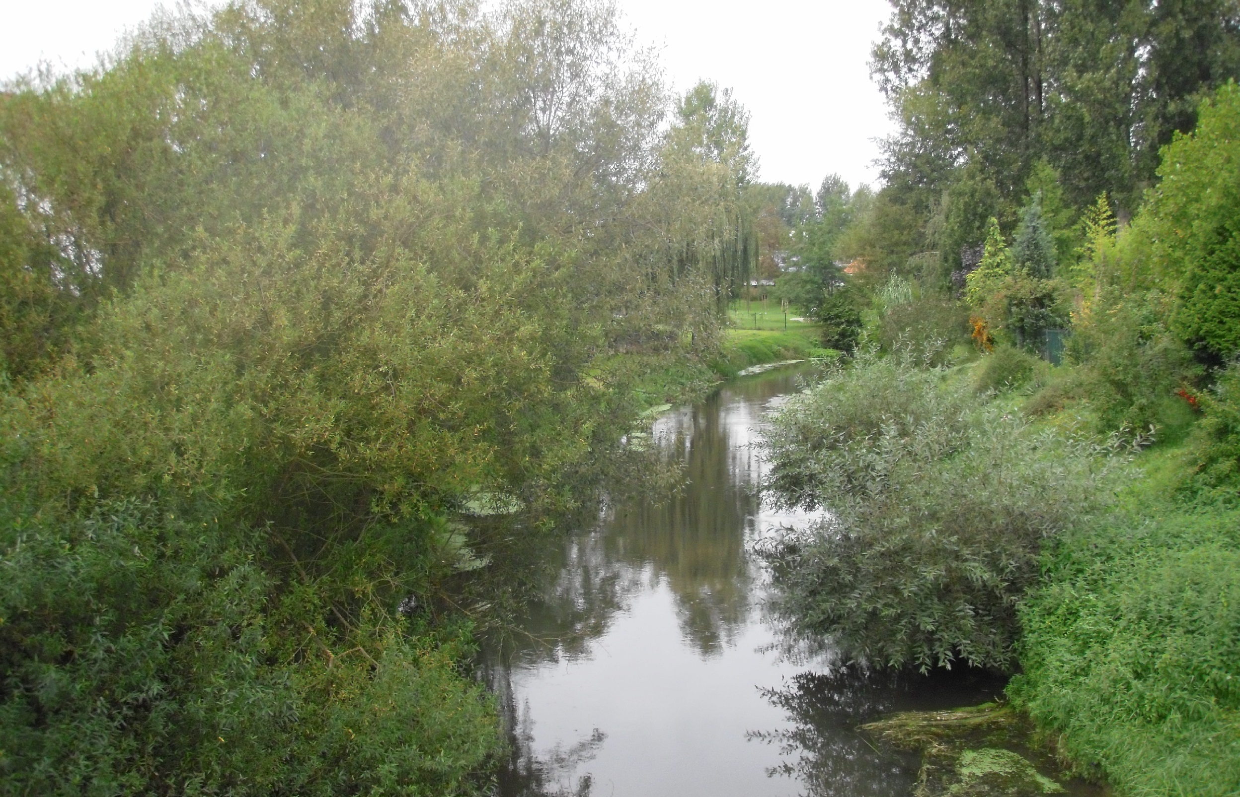 La Sauer à Beinheim (67) 