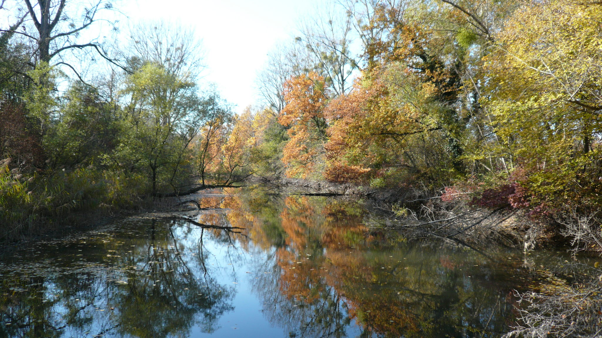 Rossmoerder à l'automne