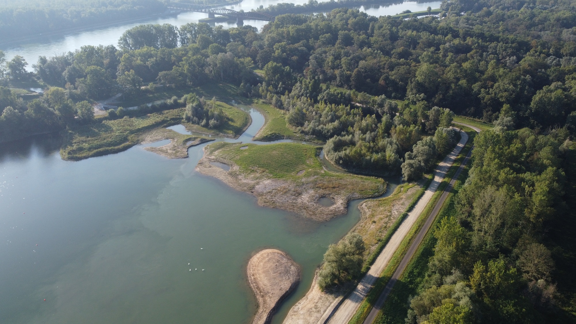 Vue aérienne Roseliere Beinheim