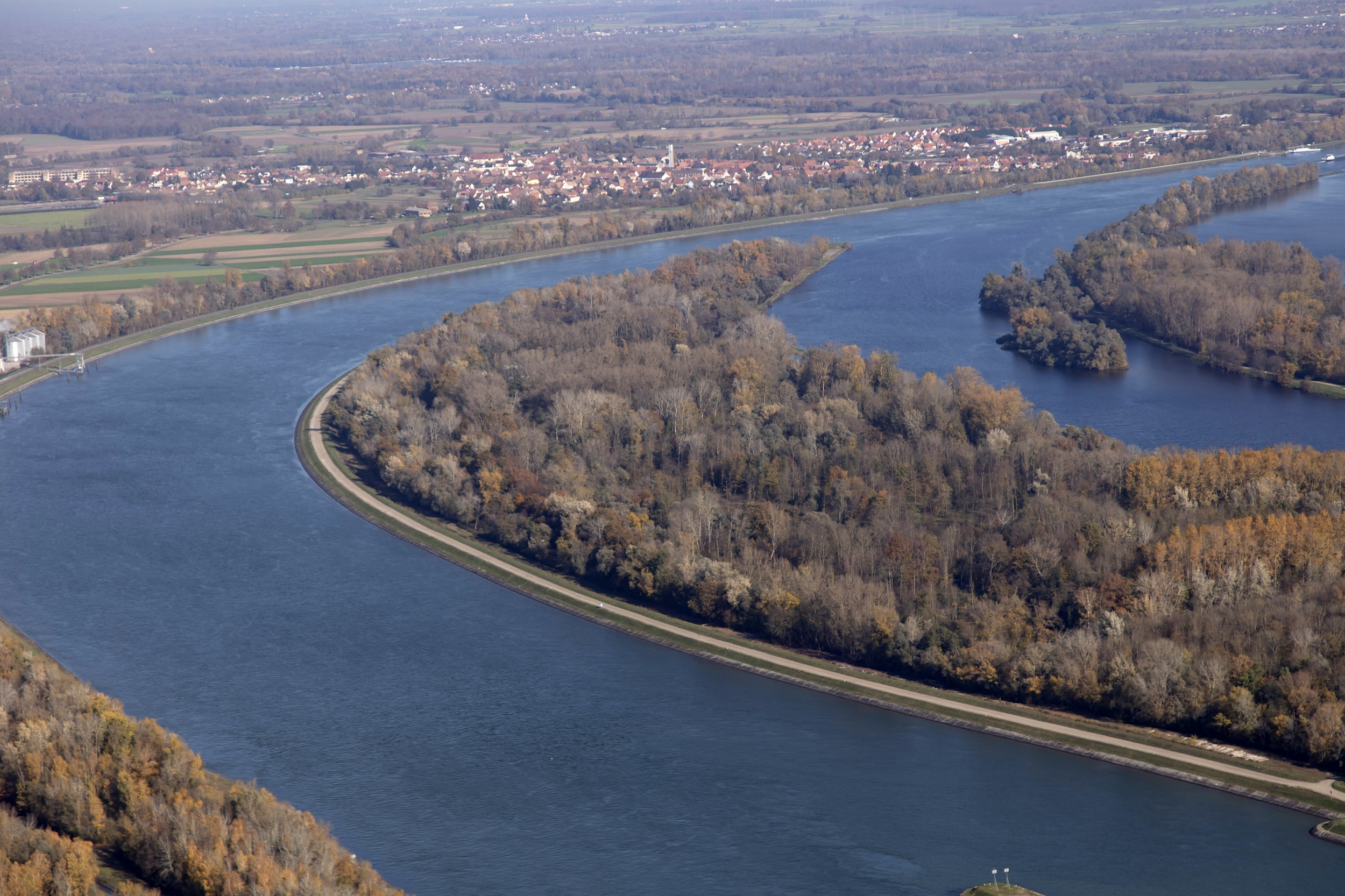 Vue aérienne des bords du Rhin à Rhinau (67)