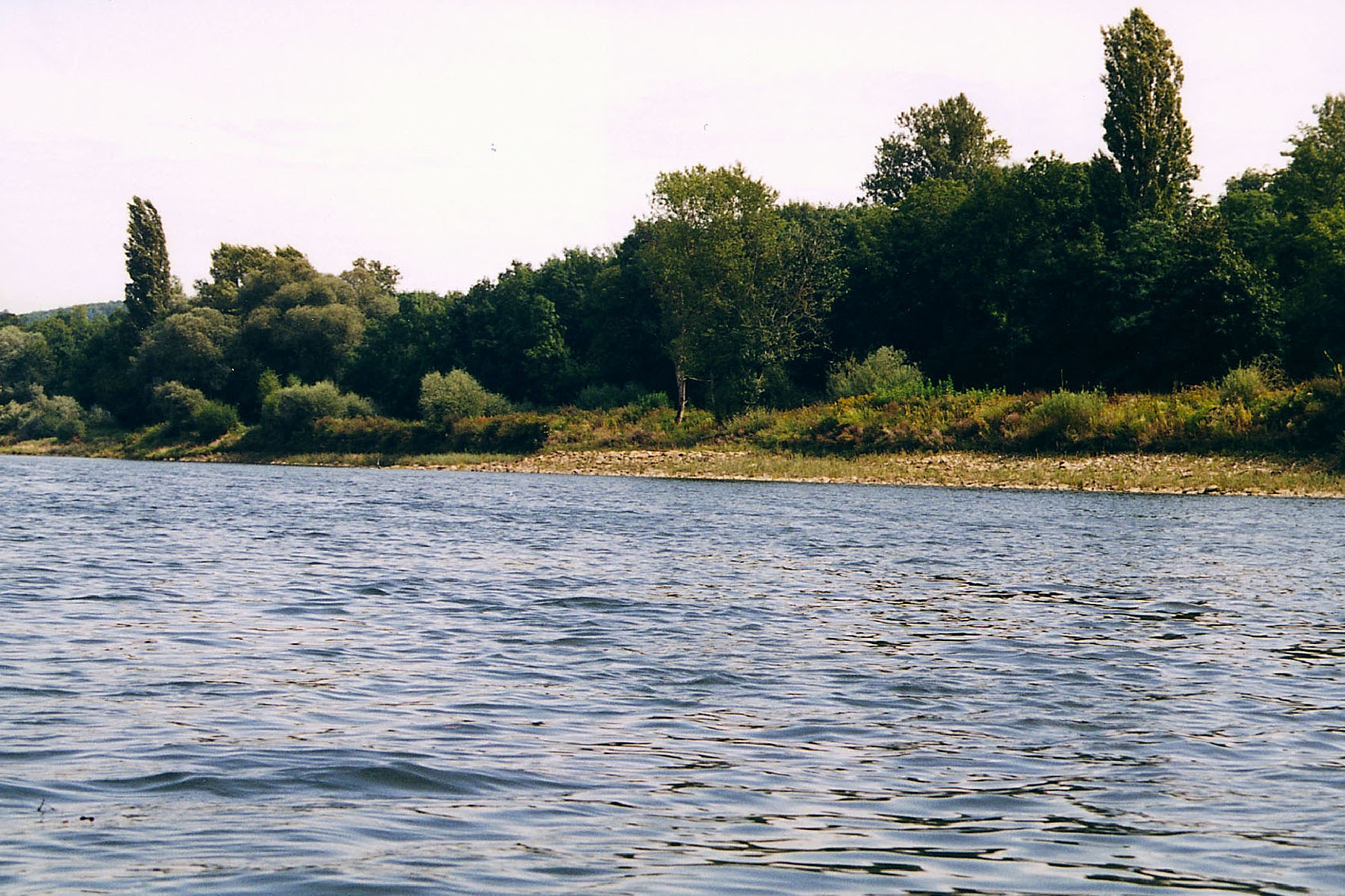 Vue des berges rive droite avec atterissement de galets