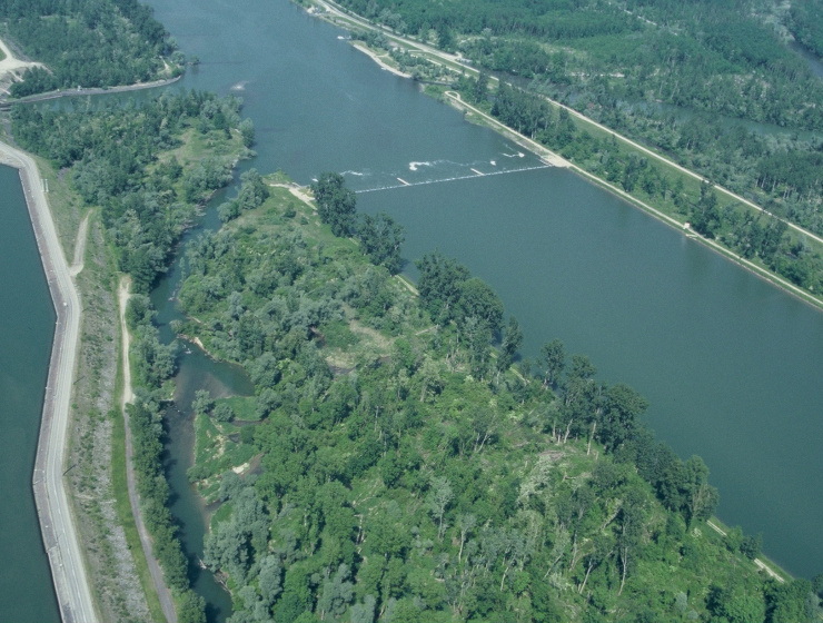 Vue aérienne écoulement sur le bras de Gerstheim (67)