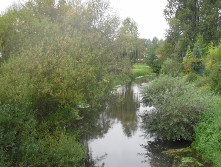 La Saeur à Beinheim (67) - eau, arbres, rivière