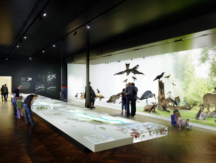 Visuel / maquette de l'exposition sur le Rhin au musée zoologique de Strasbourg (67)