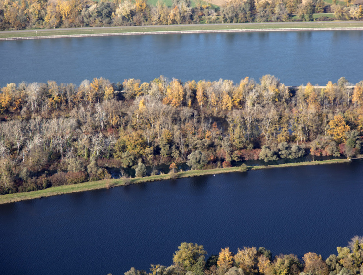Vue aérienne des bords du Rhin à Rhinau (67) - eau, arbres, Rhin, forêts, Bas-Rhin