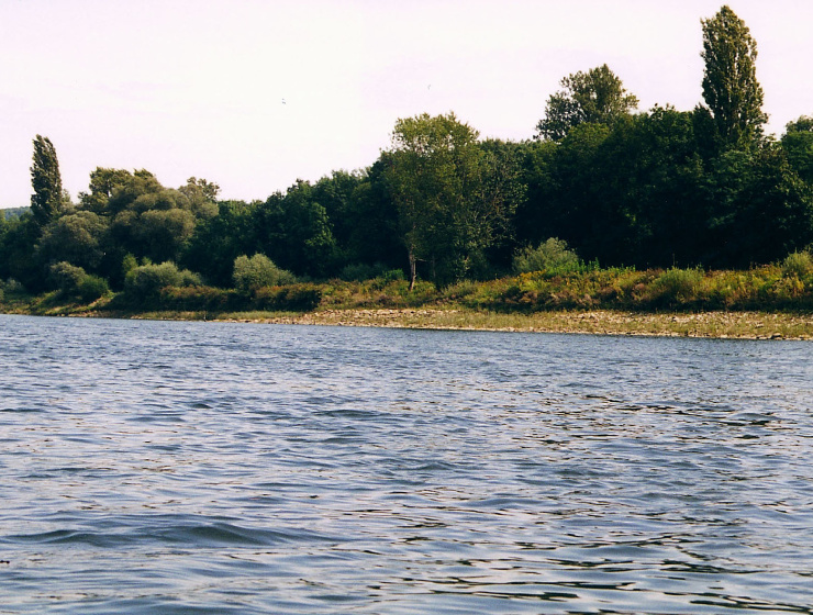 Vue des berges rive droite avec atterissement de galets