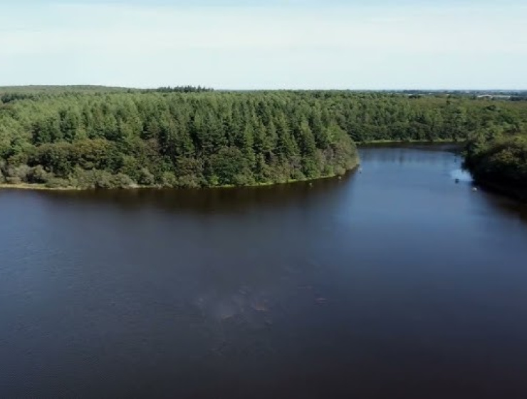Capture écran de la vidéo "Rhinaissance : Une nouvelle vie pour le Rhin entre le Taubergiessen et l'île de Rhinau" - vue sur eau et forêts