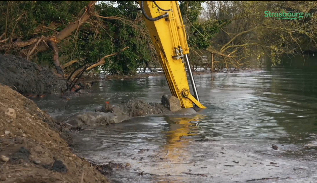 berges vieux rhin vnf pelle