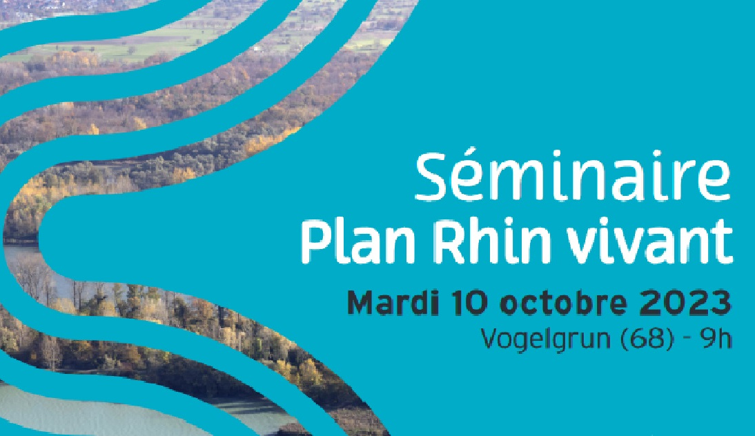 Affiche séminaire plan rhin vivant 2023