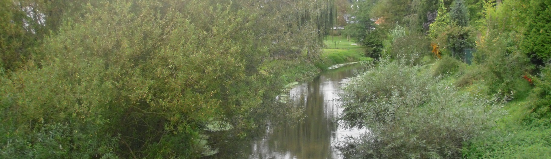 La Saeur à Beinheim (67) - eau, arbres, rivière
