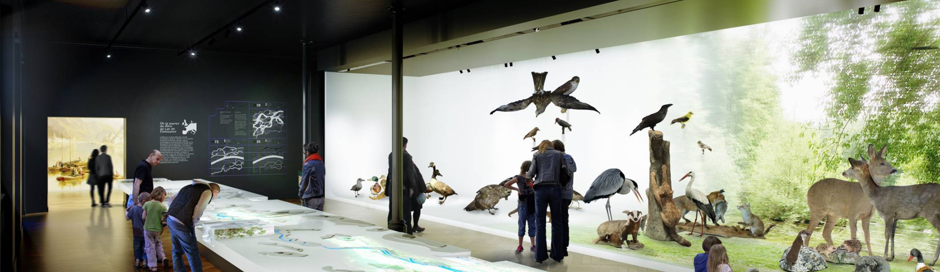 Visuel / maquette de l'exposition sur le Rhin au musée zoologique de Strasbourg (67)