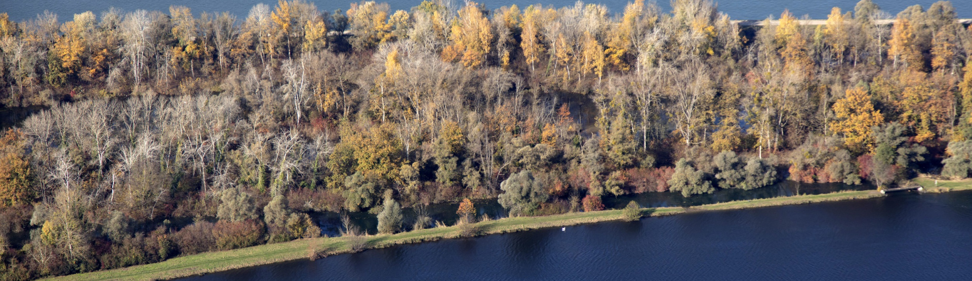 Vue aérienne des bords du Rhin à Rhinau (67) - eau, arbres, Rhin, forêts, Bas-Rhin