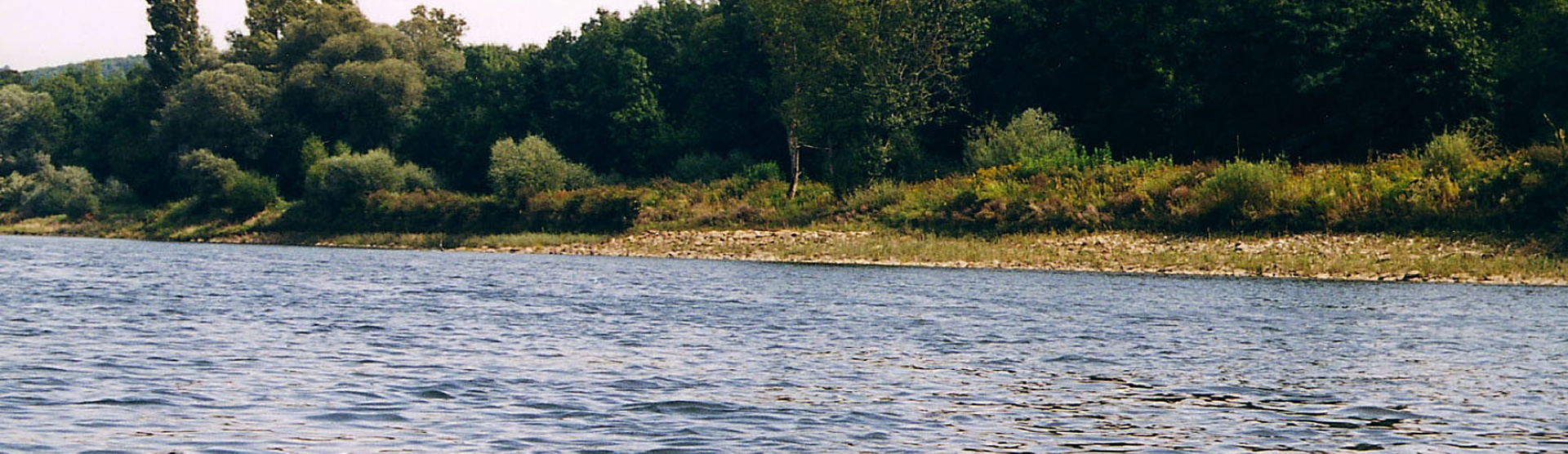 Vue des berges rive droite avec atterissement de galets