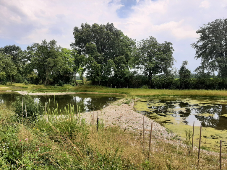 Ischert