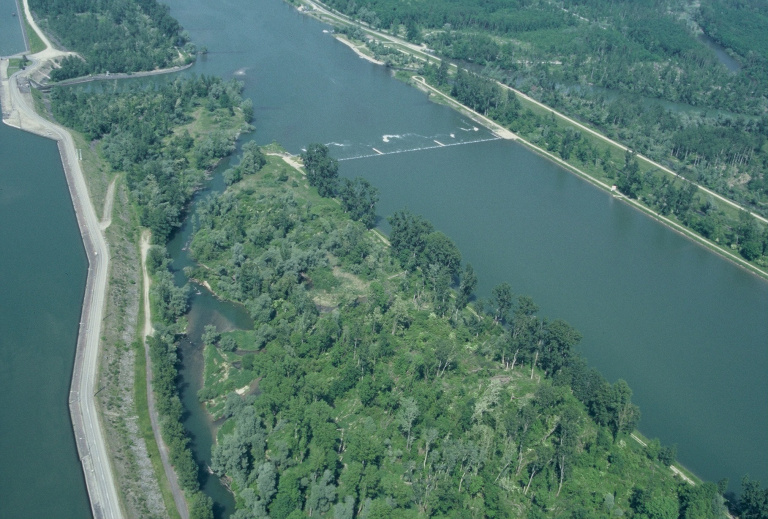 Vue aérienne écoulement sur le bras de Gerstheim (67)