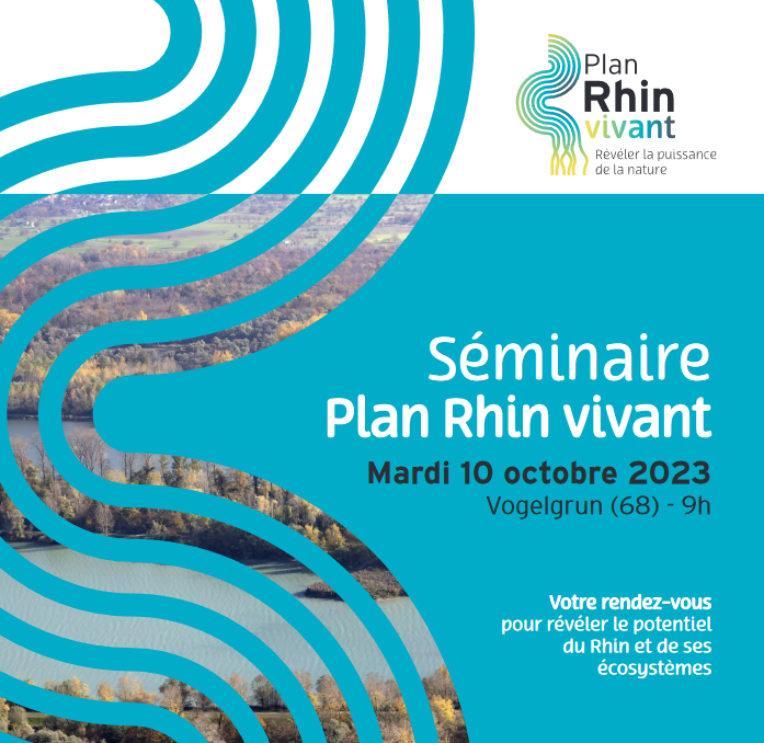 Affiche Séminaire Plan Rhin vivant 2023