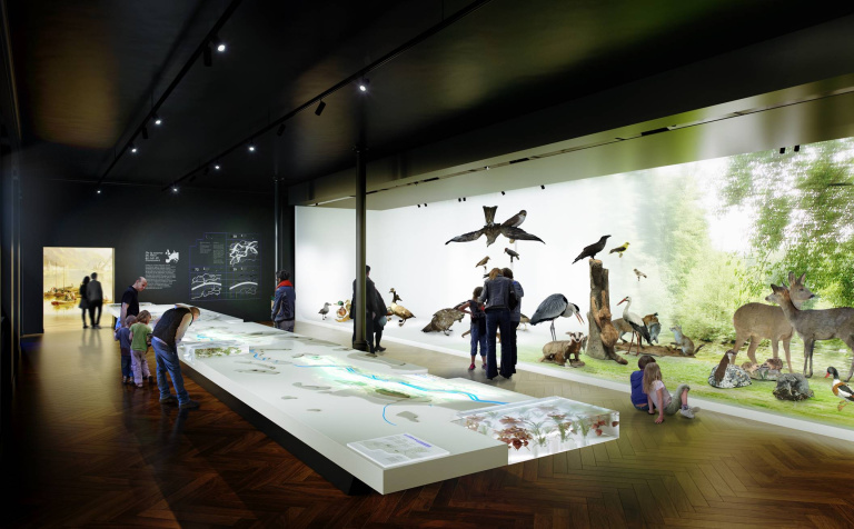 Visuel / maquette de l'exposition sur le Rhin au musée zoologique de Strasbourg (67)