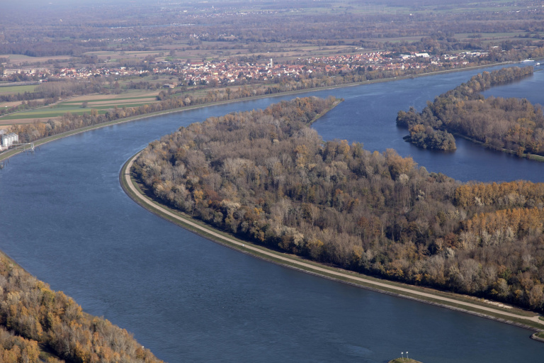 Vue aérienne des bords du Rhin à Rhinau (67) - eau, arbres, Rhin, forêts