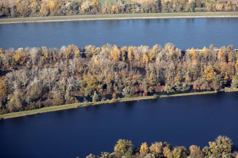 Vue aérienne des bords du Rhin à Rhinau (67) - eau, arbres, Rhin, forêts, Bas-Rhin