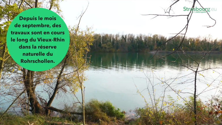 berges vieux rhin VNF