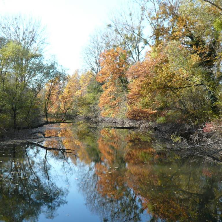 Rossmoerder en automne (67) - eau, arbres, rivière, Bas-Rhin, Rhin - Conservatoire d'espaces naturels d'Alsace