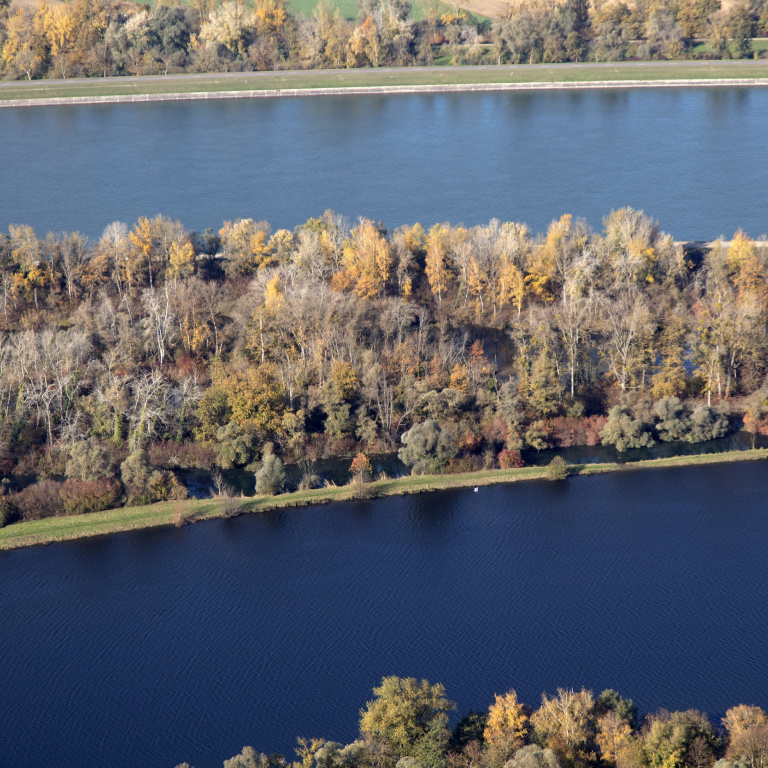 Vue aérienne des bords du Rhin à Rhinau (67) - eau, arbres, Rhin, forêts, Bas-Rhin